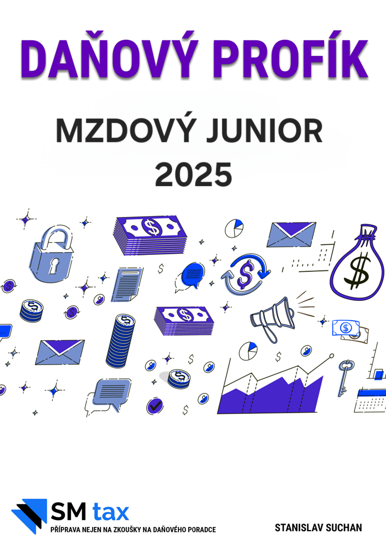 Mzdový junior 2025 (e-book)